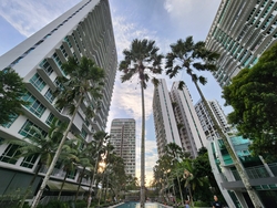 tree-house photo thumbnail #5